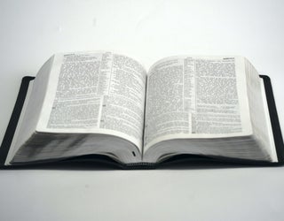 Zondervan NIV Study Bible