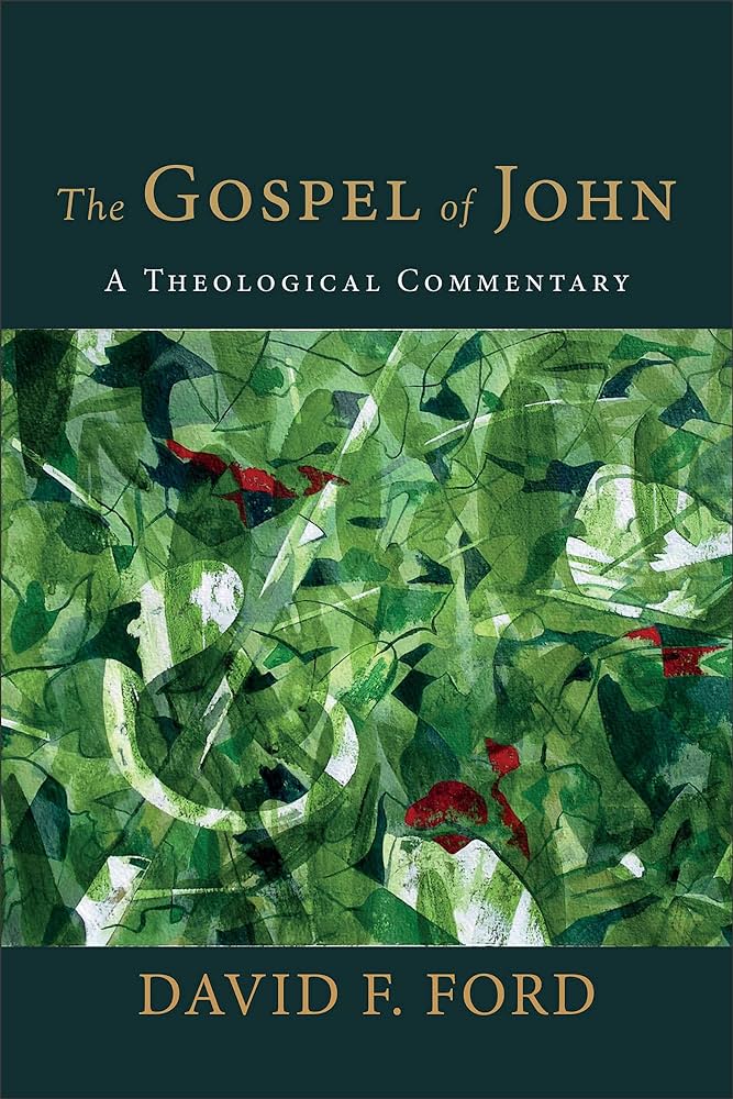 Item #501473 The Gospel of John: A Theological Commentary. David F. Ford.
