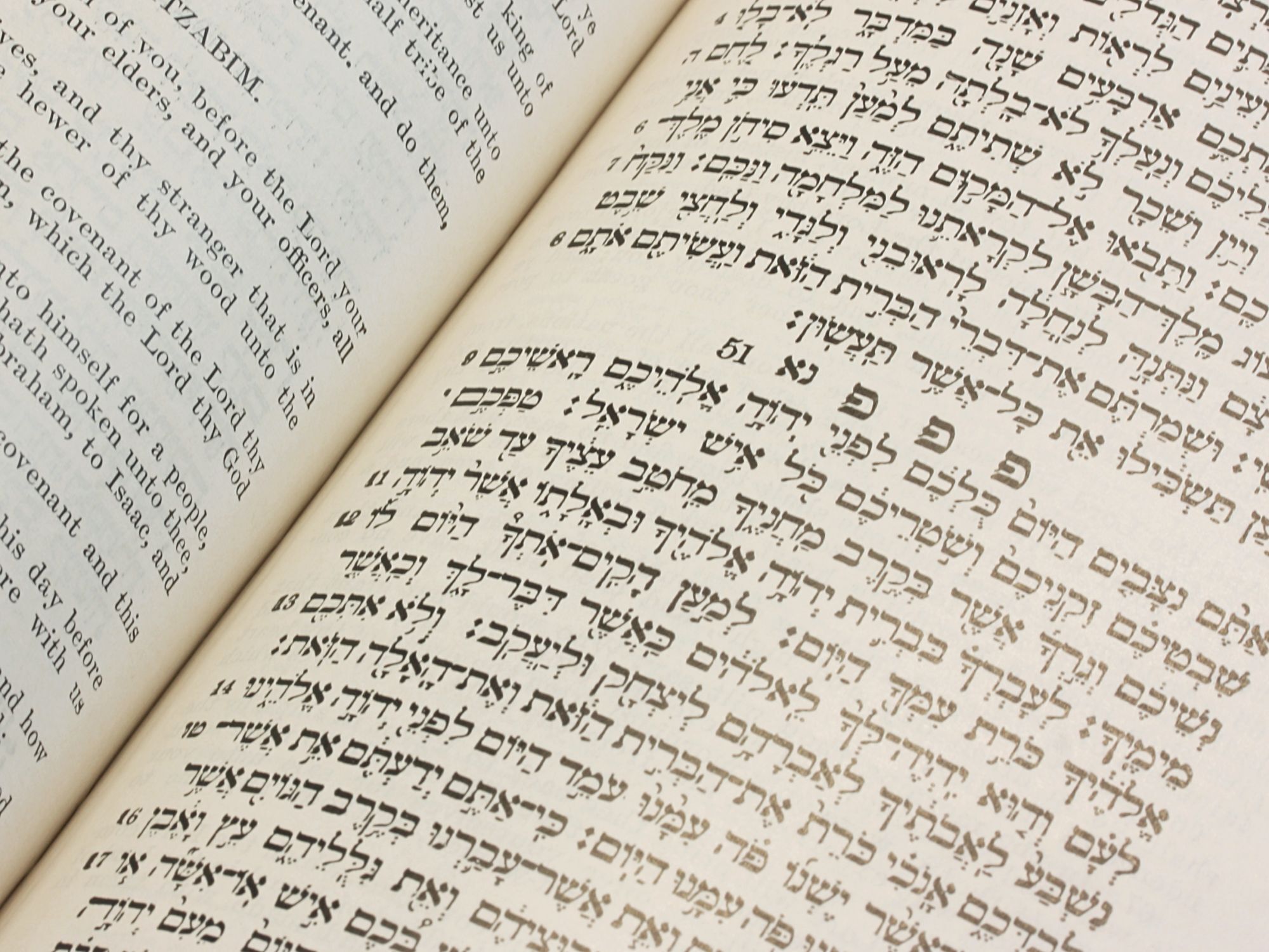 TWENTY-FOUR BOOKS OF THE HOLY SCRIPTURES Carefully Translated after the ...