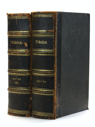 Item #506615 BIBELEN, eller, Den Hellige Skrift : paany oversat af grundtexten og ledsaget med...