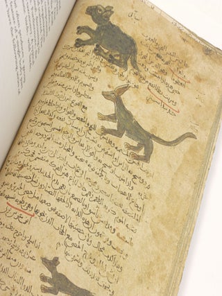 Ibn Baklarish's Book of Simples: Medical Remedies Between Three Faiths in Twelth-Century Spain