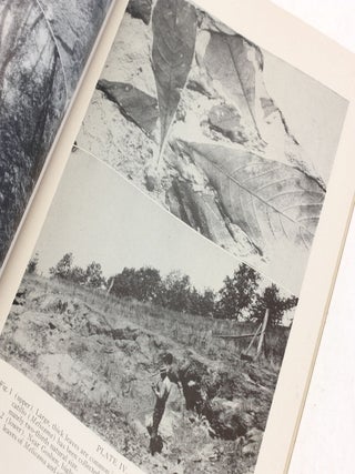 The Ancient Forests of Oregon (Condon Lectures)