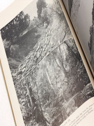 The Ancient Forests of Oregon (Condon Lectures)