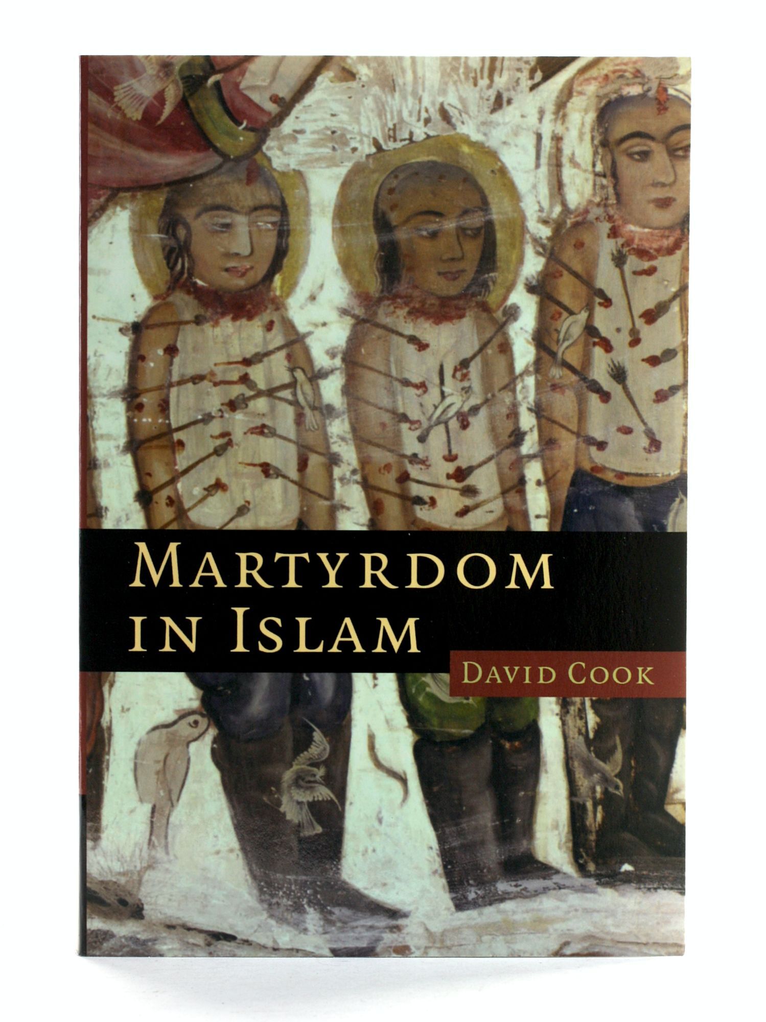 Martyrdom in Islam | David Cook